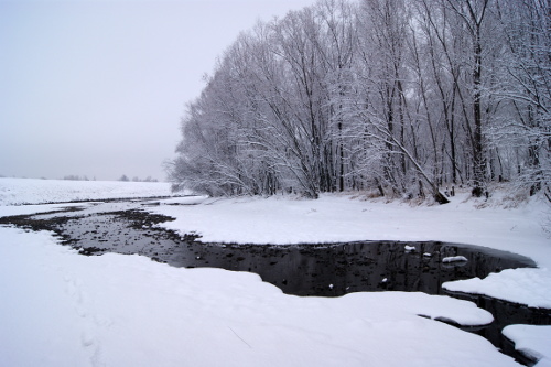 ?????? ?????? ??????????? (The Bira river covered by snow)